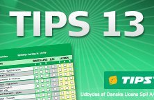 Tips 13